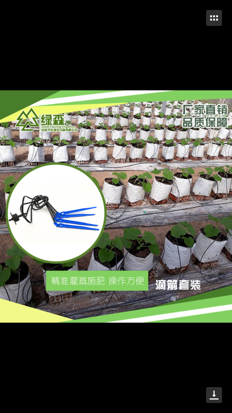 大棚温室盆栽滴箭一出二一出四滴箭