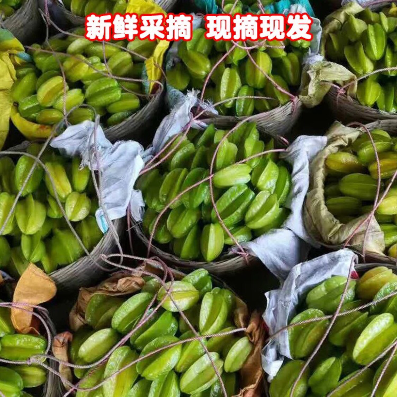 台湾红龙杨桃5斤装8-12个29元