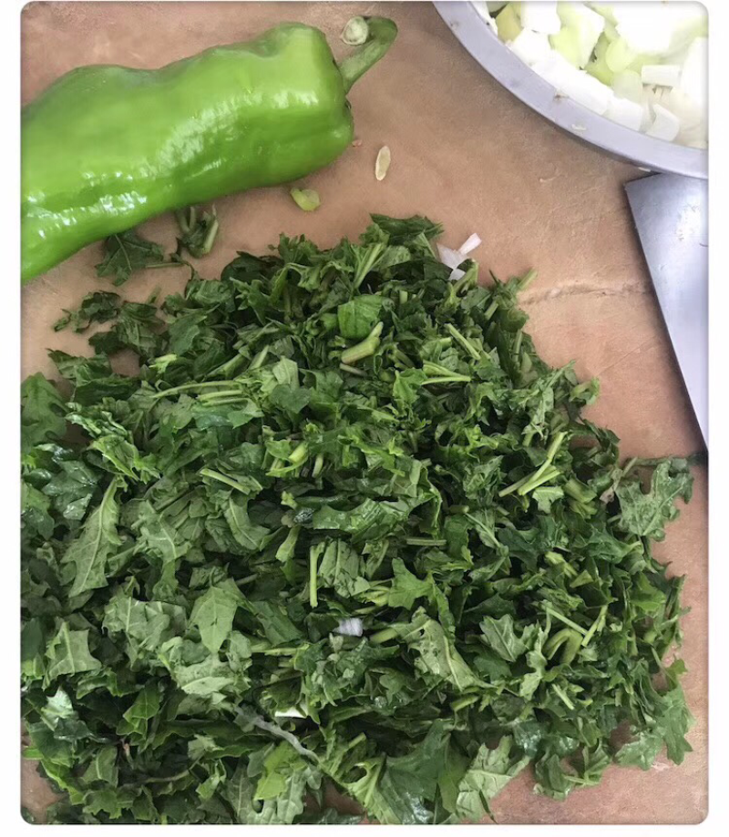 塞外香椿臭蒿菊叶香藜野菜种子