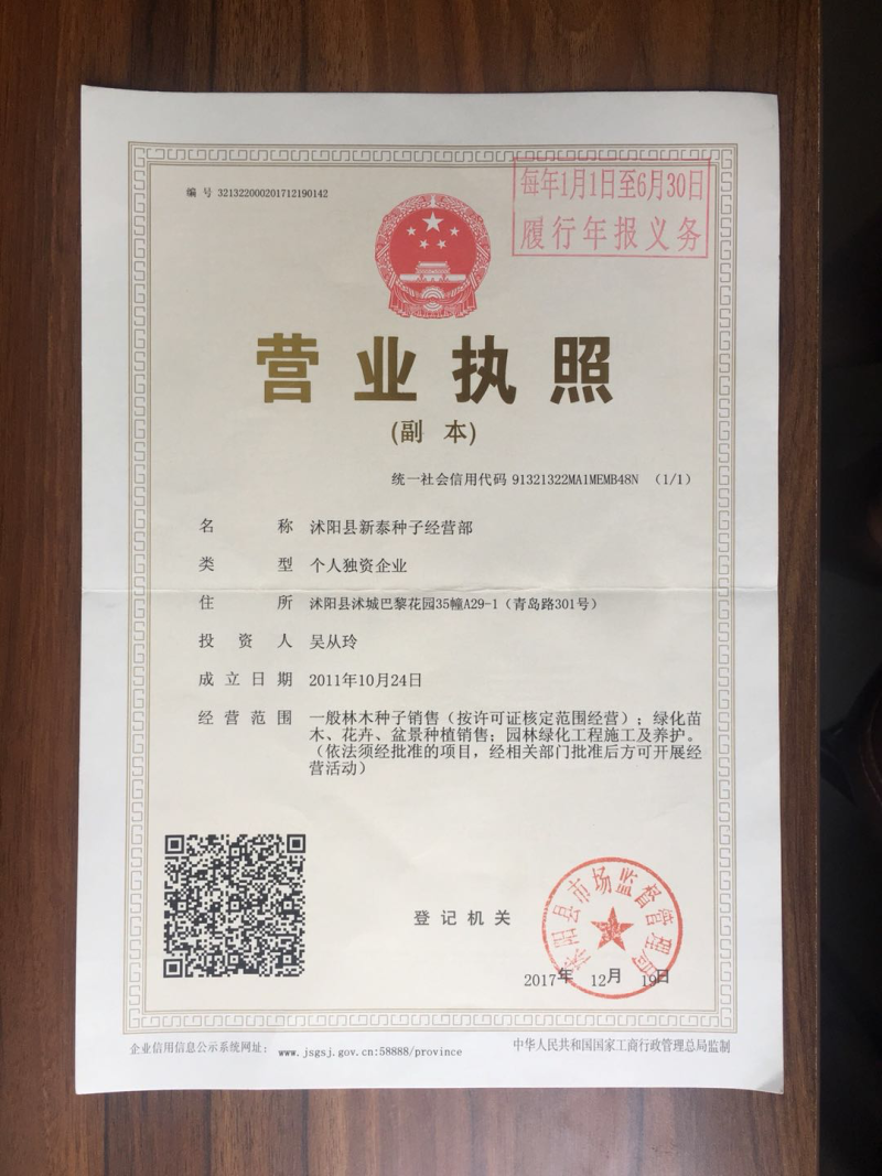 蒲公英种子婆婆丁种子野菜种子药材种子四季播种