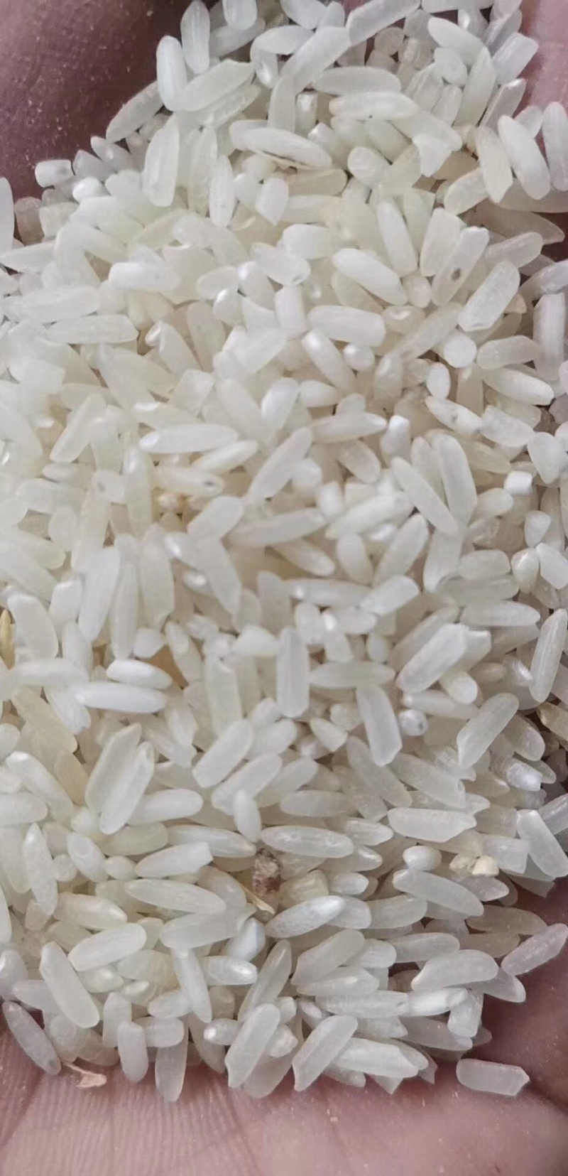 大米碎米统糠油糠三七糠稻谷等