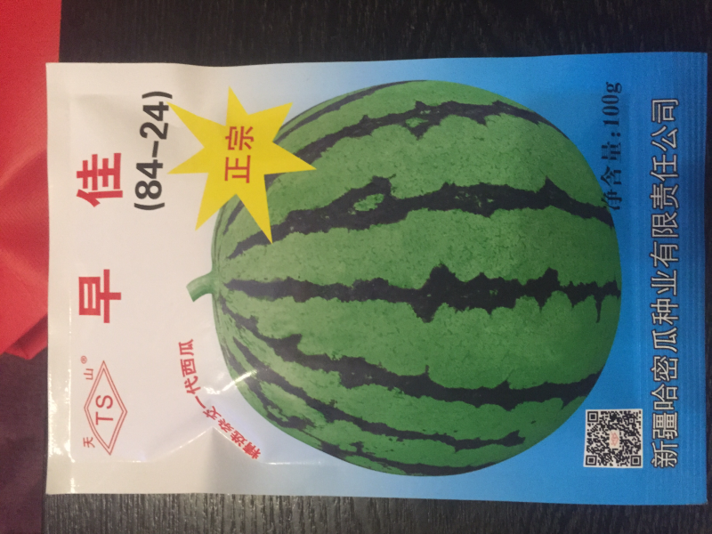 天山早佳8424西瓜种子瓜菜种子果型大产量高品质优良