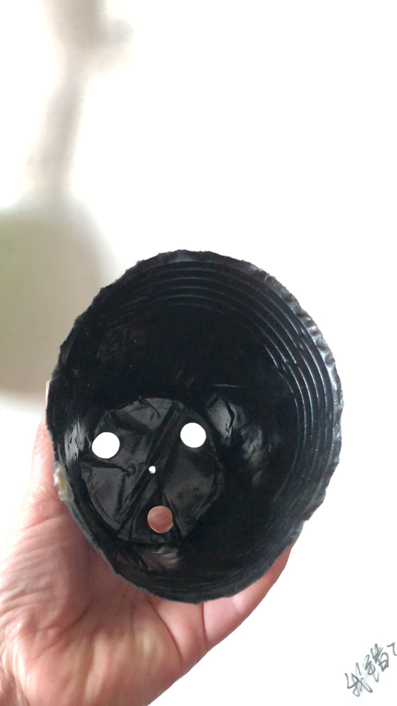 编号15乘13