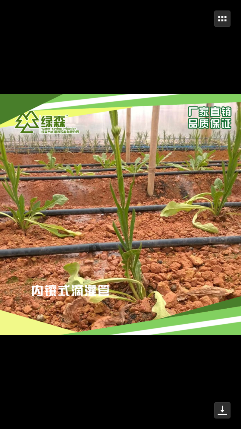 滴灌喷灌厂家直销内镶式滴灌管大棚果园田地种植灌溉施肥圆