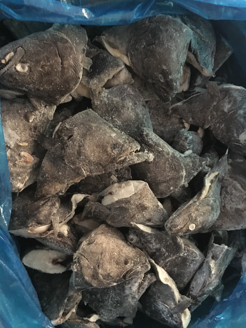 格陵兰鲽鱼头