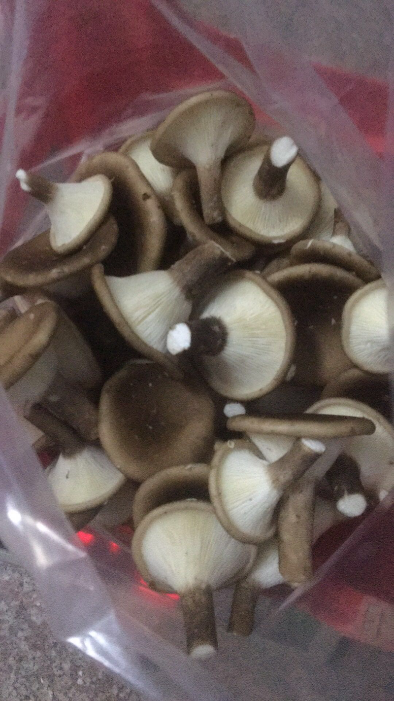 半斤装，五斤装，各种规格都有