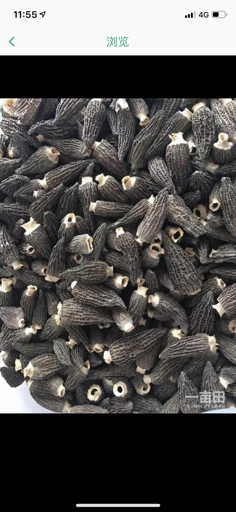 特干特大羊肚菌。
