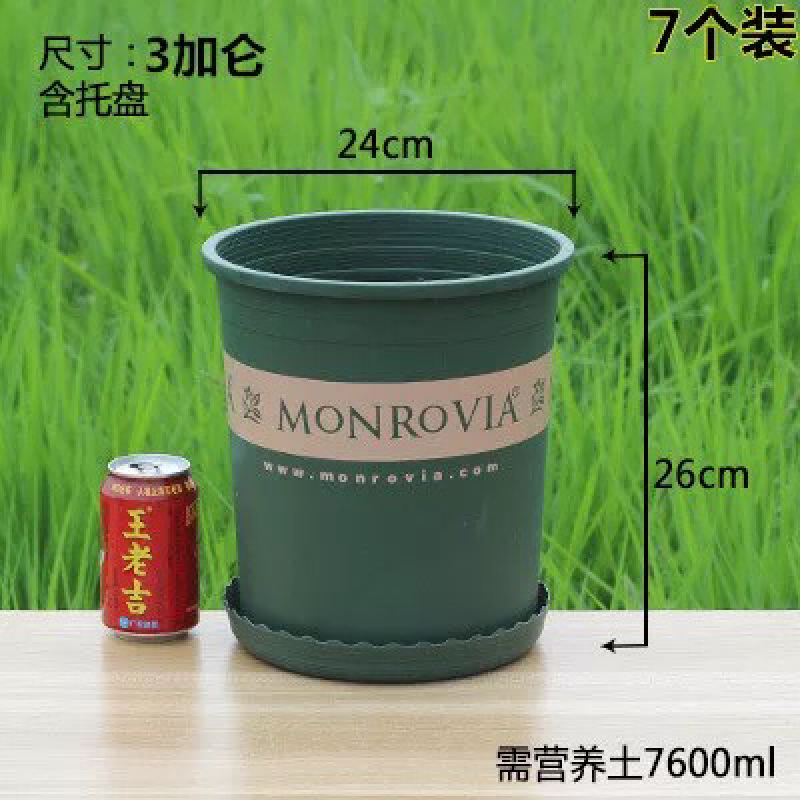 花盆加仑盆免费包邮树脂花盆正宗环球加仑花盆厂家直销