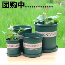 花盆加仑盆免费包邮树脂花盆正宗环球加仑花盆厂家直销
