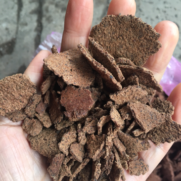 茶籽饼加工利用