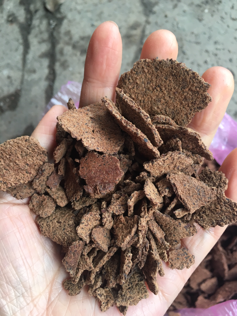 茶籽饼加工利用