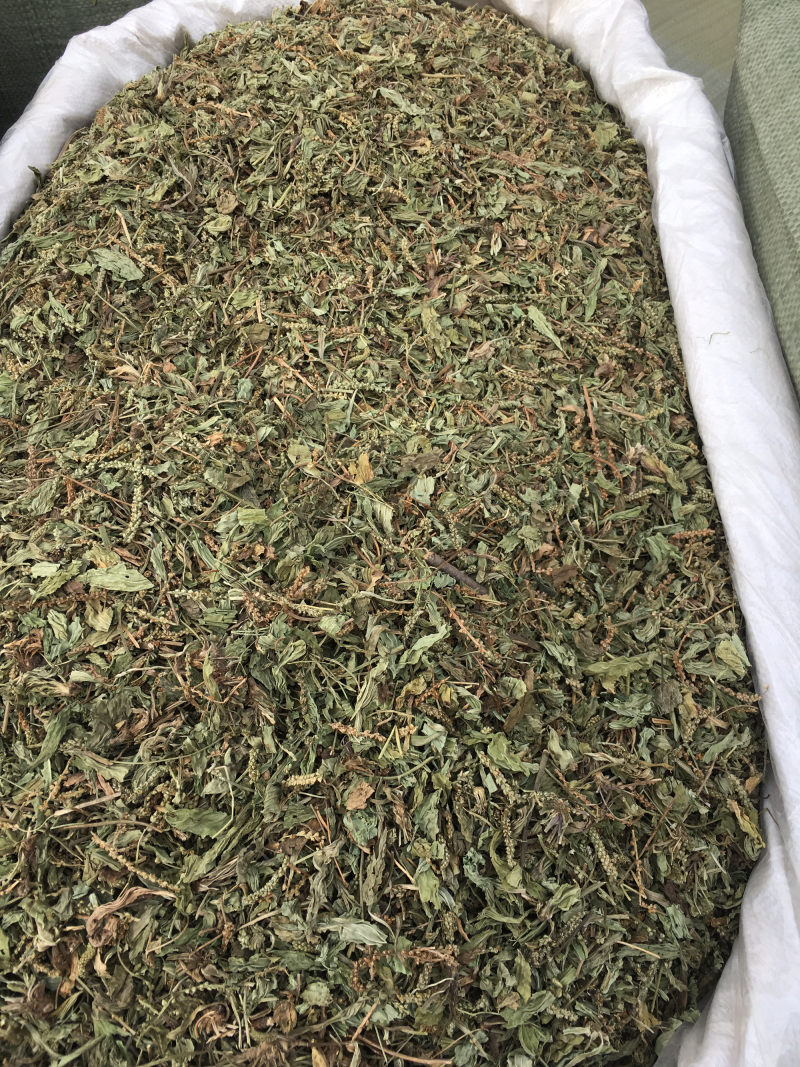 车前草