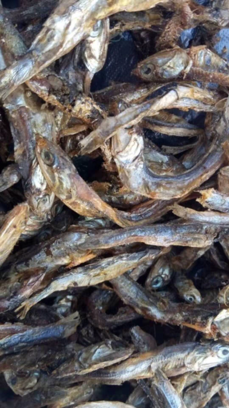 秘鲁鱼粉港口发货质量很好价格便宜
