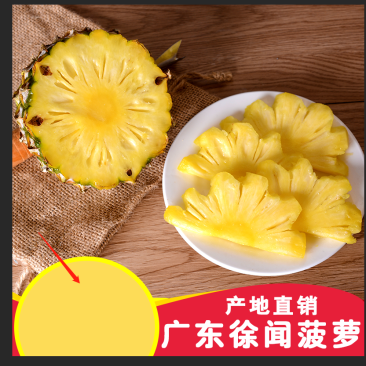 徐闻菠萝产地直发新鲜美味家庭实惠装9斤