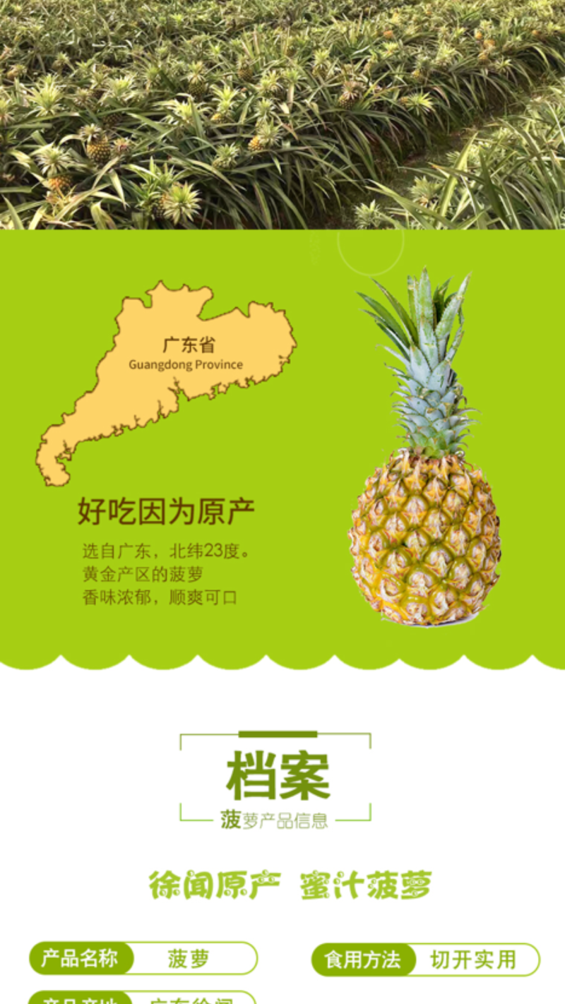 徐闻菠萝产地直发新鲜美味家庭实惠装9斤