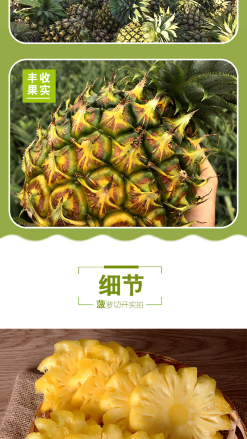 徐闻菠萝产地直发新鲜美味家庭实惠装9斤