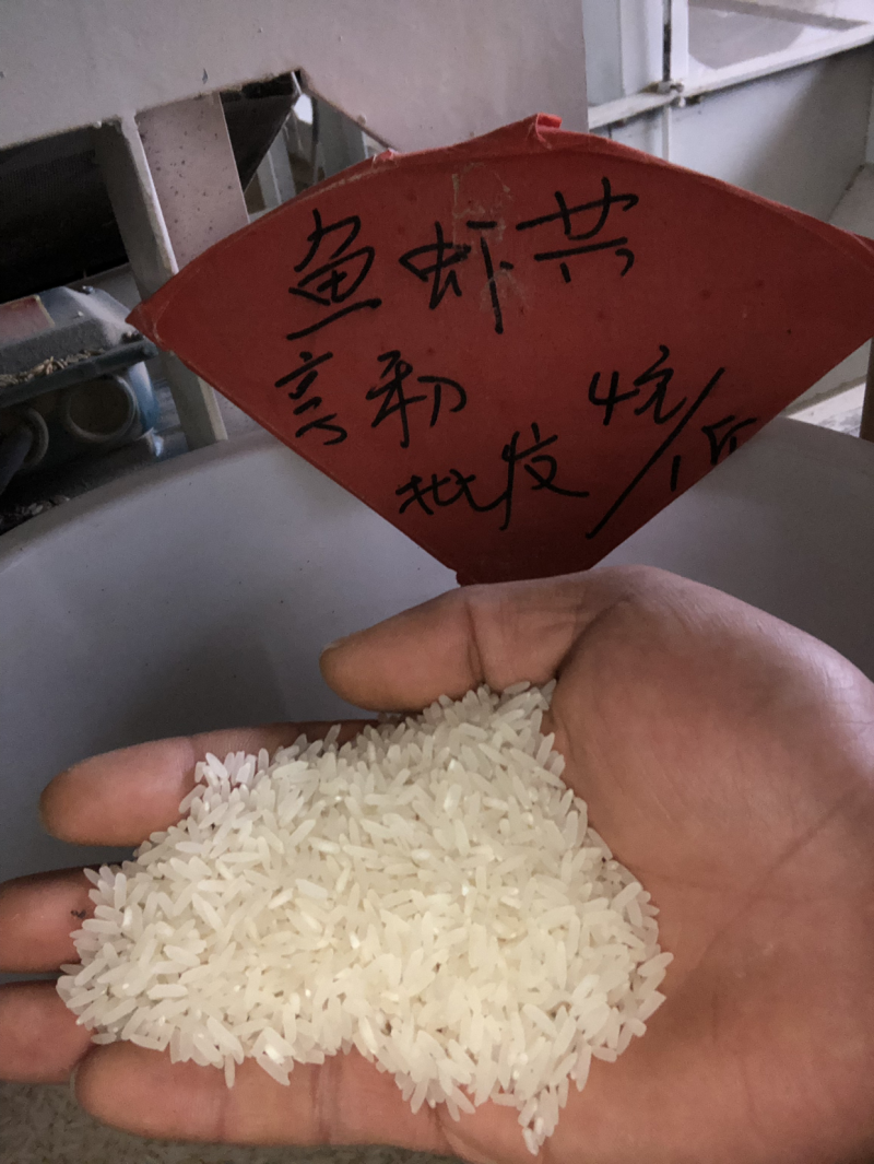 象牙粘农家米、不抛光、不打蜡。