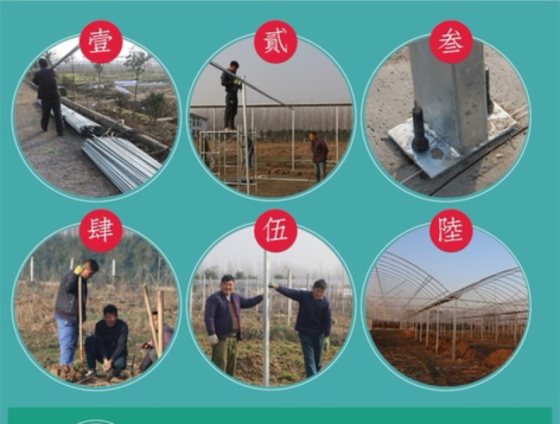 肉兔价格，杂交野兔，杂交肉兔，养兔利润