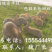 肉兔价格，杂交野兔，杂交肉兔，养兔利润