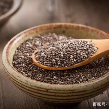 奇亚籽