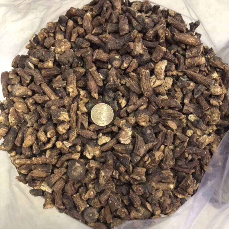 蒲公英