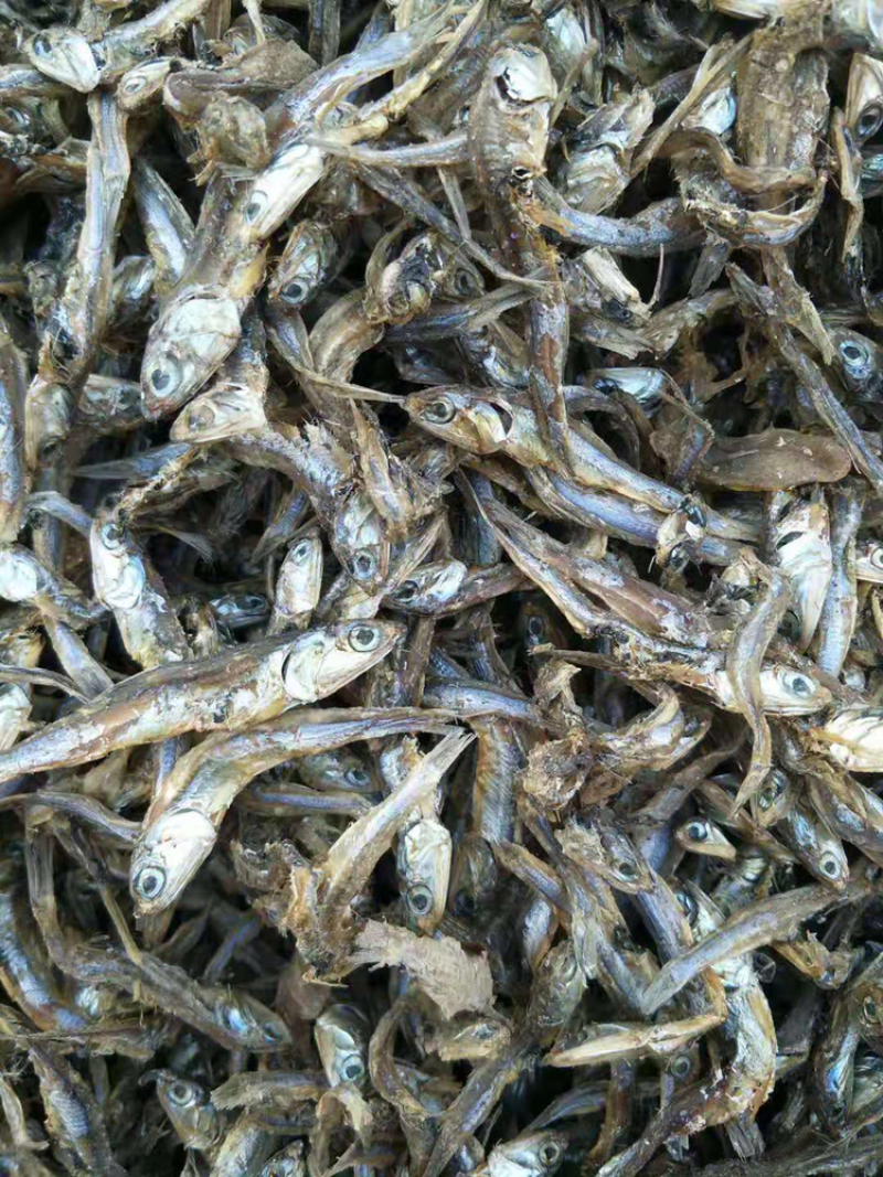 饲料鱼干小杂鱼自然晒干小白鱼皮皮虾螃蟹等