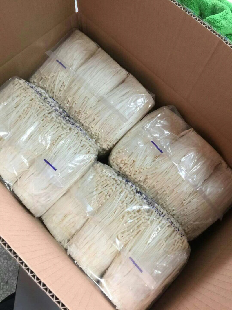 金针菇价格美丽，寻求合作