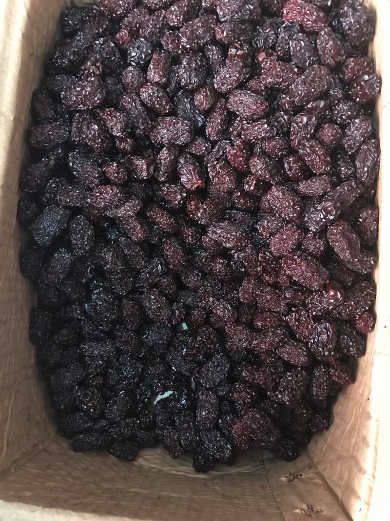 黑枣