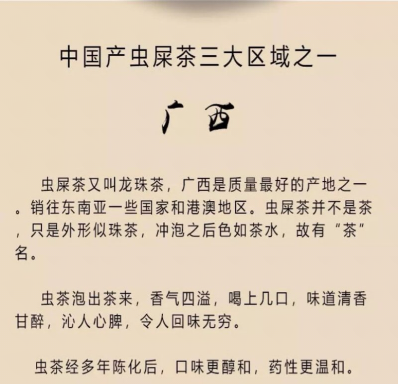 广西特产陈年龙珠茶六堡茶虫茶（实图拍摄）