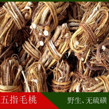 五指毛桃野生无硫特级（实图拍摄）