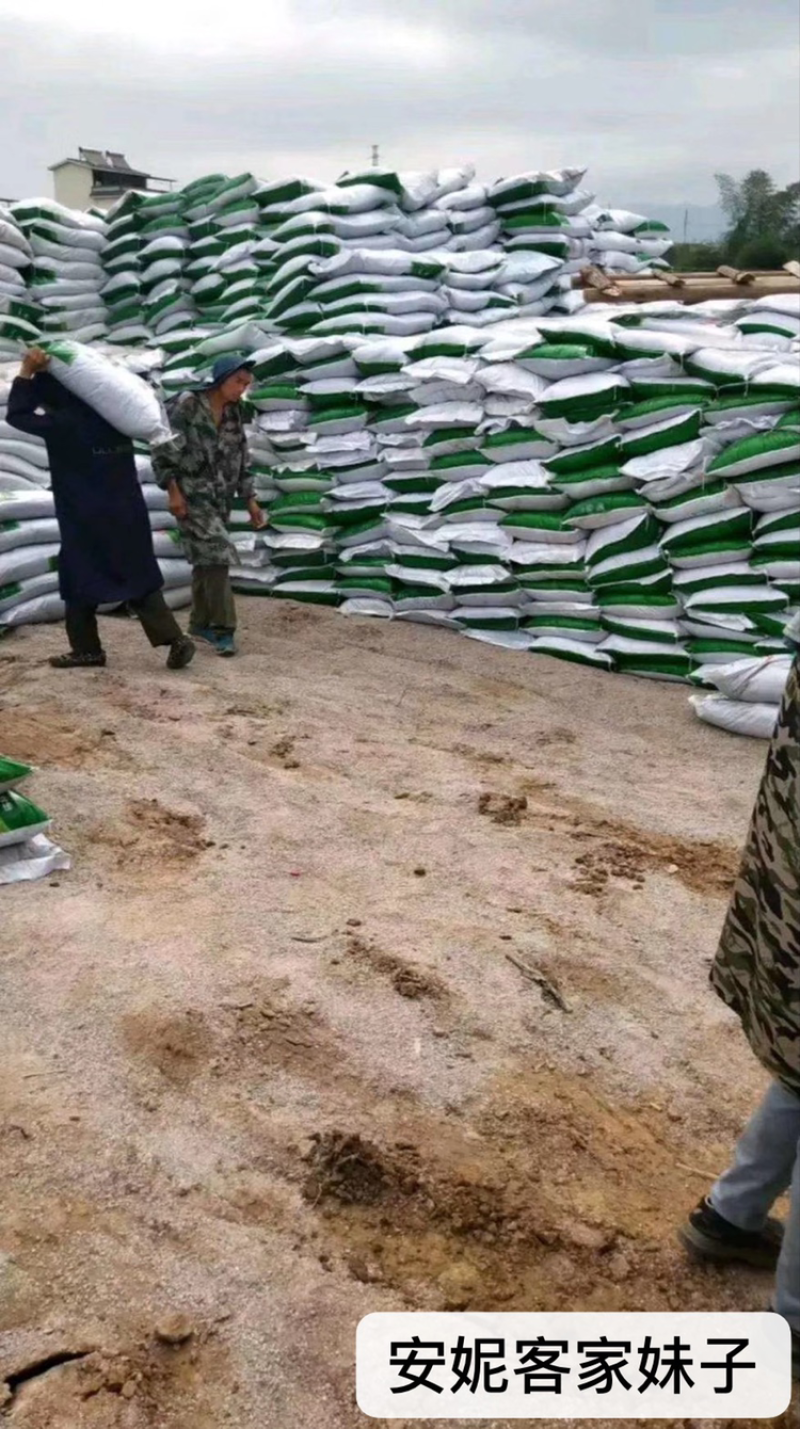 黑老虎果