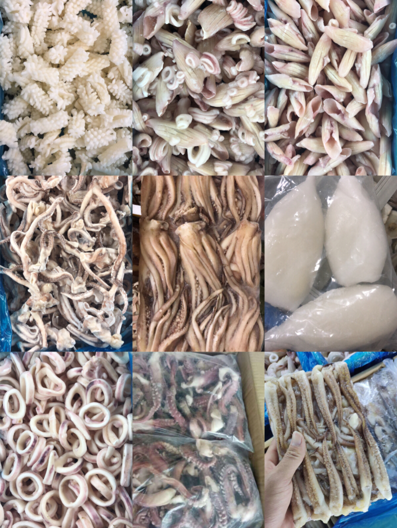 厂家直销鱿鱼系列