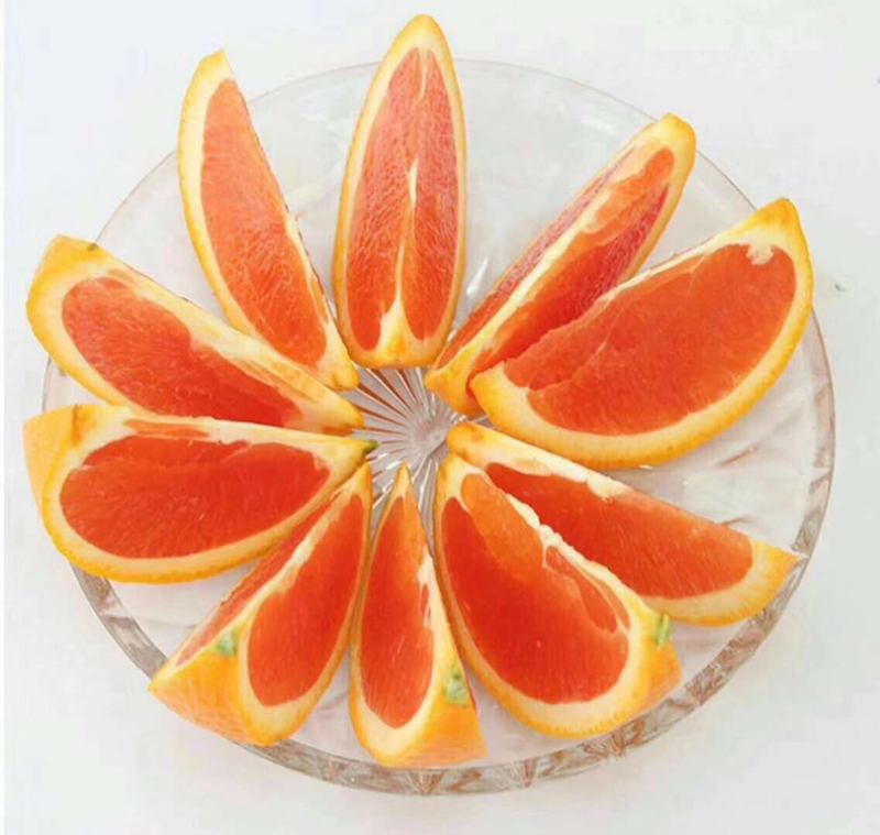 血橙
