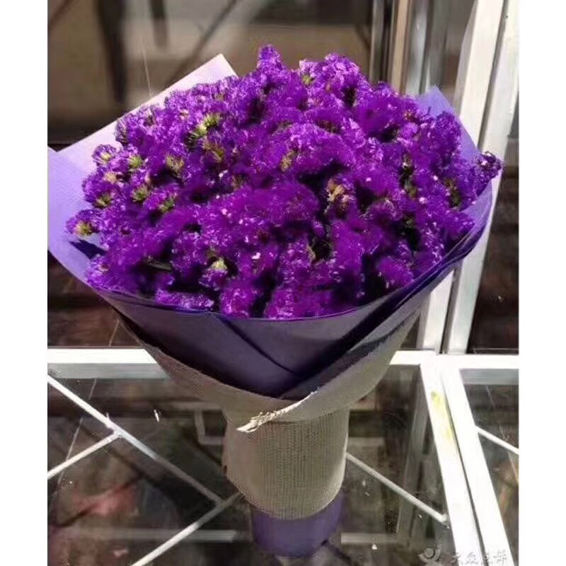 满天星，勿忘我，情人草，水晶草