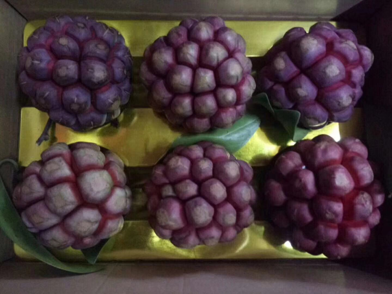 黑老虎水果