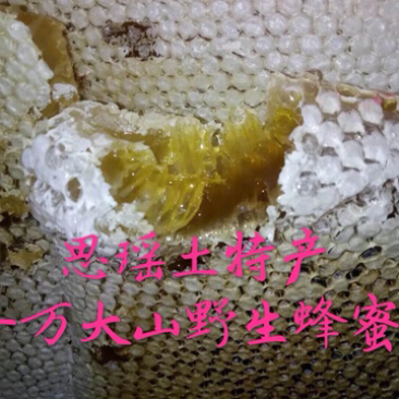 野生蜂蜜
