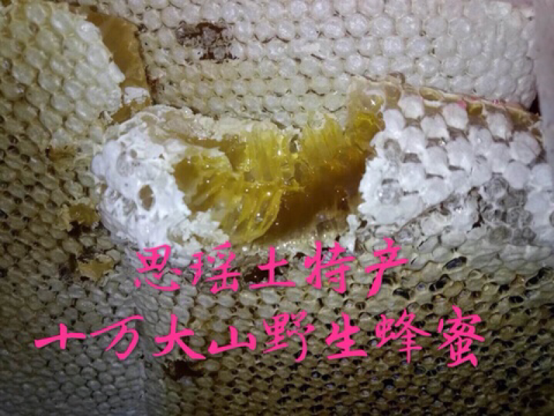 野生蜂蜜