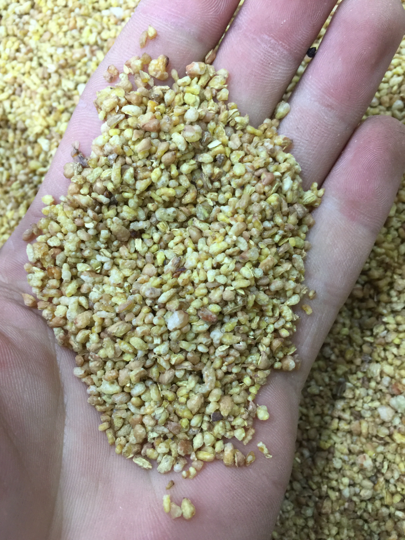 苦荞茶黄苦荞茶饭店专用茶大凉山黄苦荞