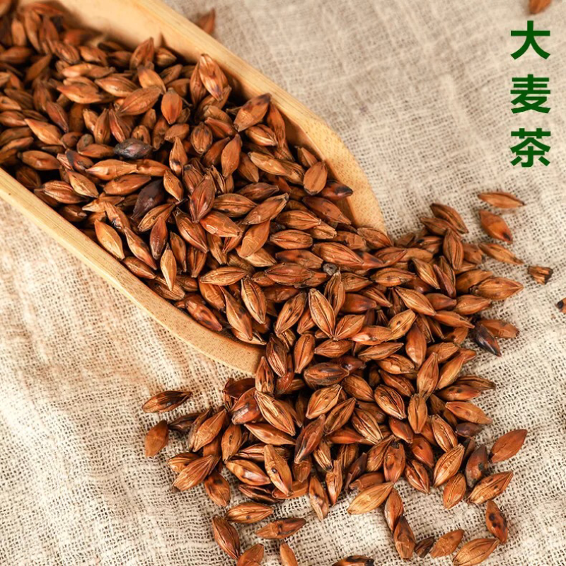 大麦茶大麦大麦芽茶酒店专用茶炒大麦茶泡水