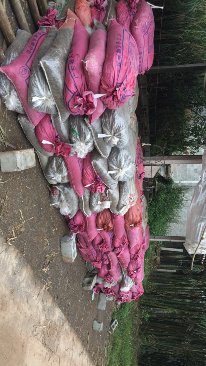 鸽子粪每袋45斤种果种树优质的农家肥
