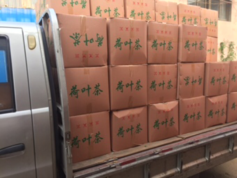 微山湖荷叶茶荷叶尖2026年荷叶丝茶微山湖条形荷叶