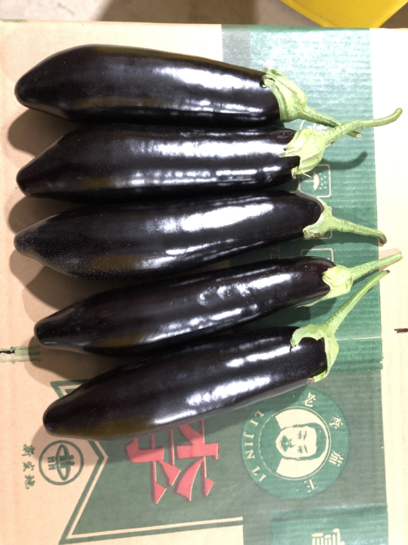精品765长茄，超市，烧烤专用。整车发货