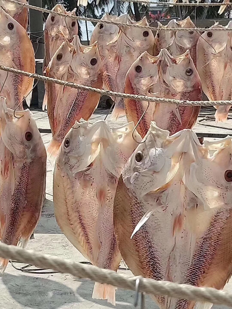 红鱼干