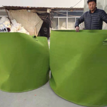 大树专用美植袋