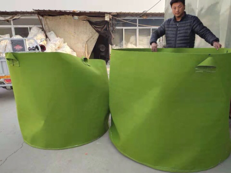 大树专用美植袋