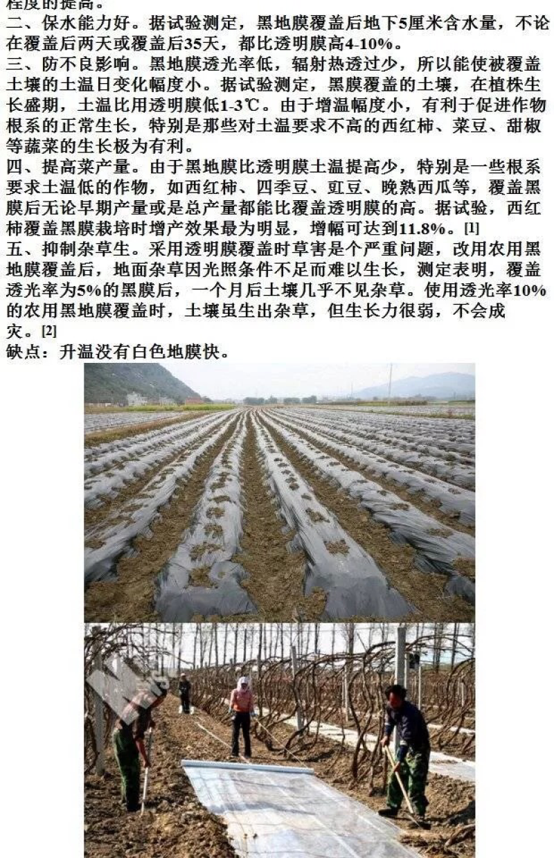 农用白色透明黑色地膜中膜加厚膜无滴大棚塑料