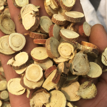甘草新产货源价格美丽