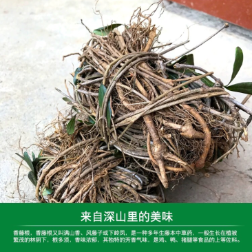福建客家野生香藤子根煲汤瓜子根无硫满山香风藤子隔山香炖肉