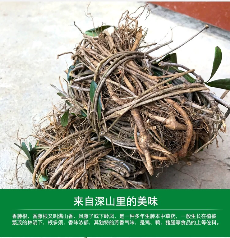 福建客家野生香藤子根煲汤瓜子根无硫满山香风藤子隔山香炖肉