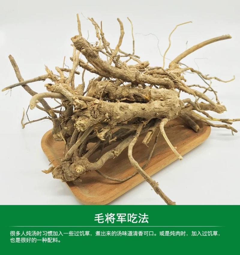野生毛将军过饥草福建闽南中草药兔子耳过枝草土丁桂白头翁山